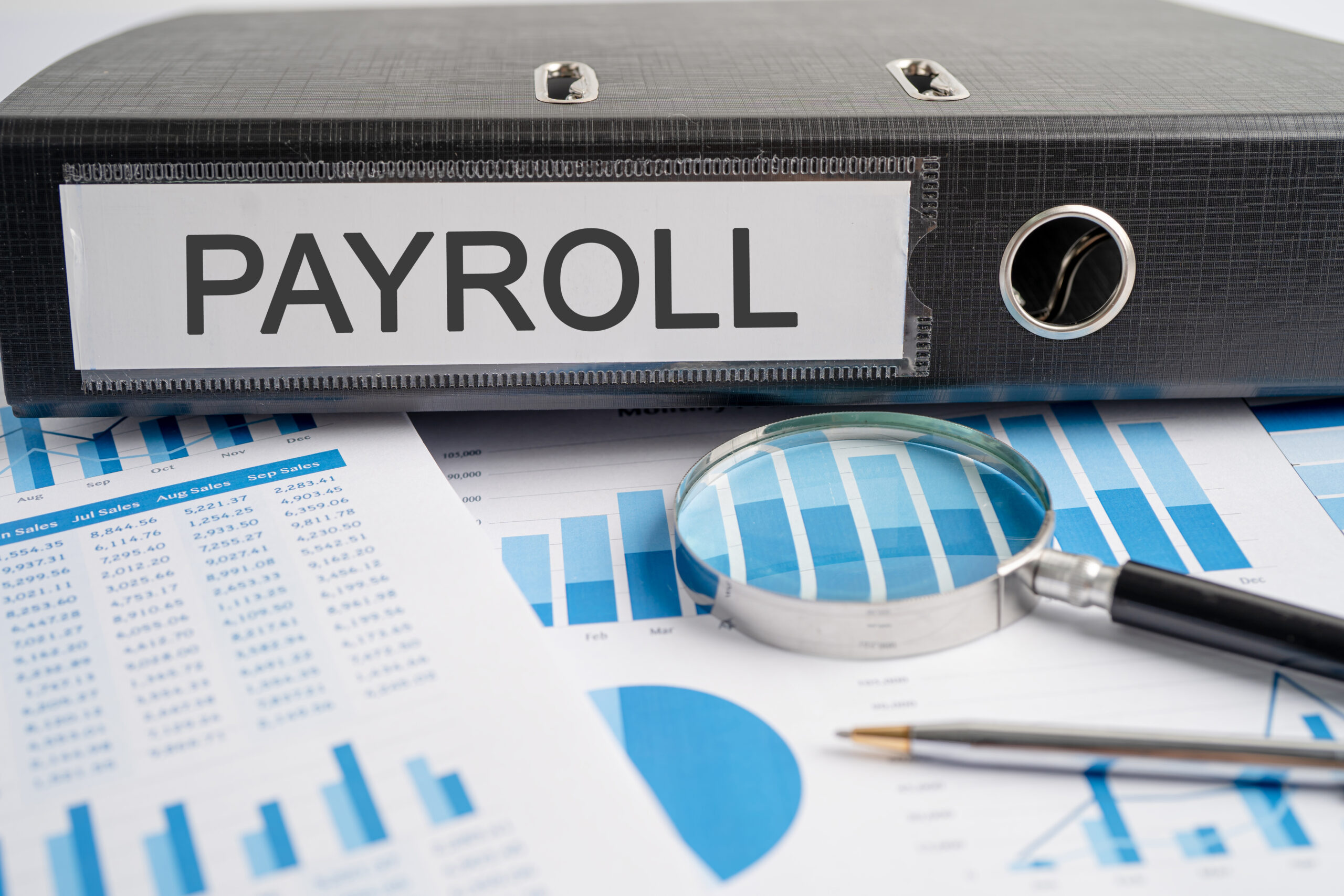 Understanding Multiple Payroll Tax Models for Long-Term Care (LTC): Options for California